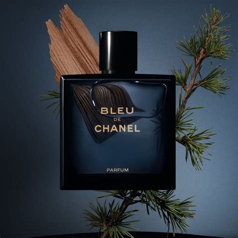 bleu de chanel parfum herren|bleu de chanel reviews.